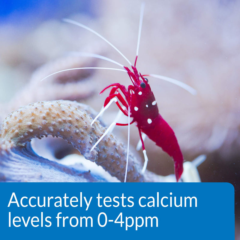 API CALCIUM TEST KIT Saltwater Aquarium Water 1-Count Test Kit, 69L (69L) - BeesActive Australia