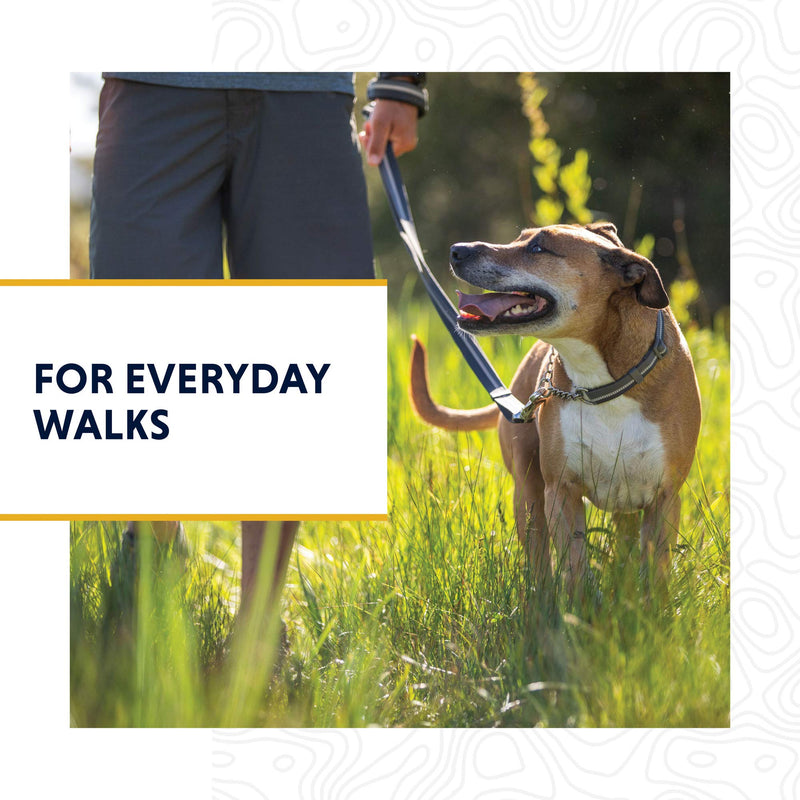 Ruffwear, Chain Reaction Dog Collar, Martingale Style for On-Leash Walking 14"-20" Sunset - BeesActive Australia