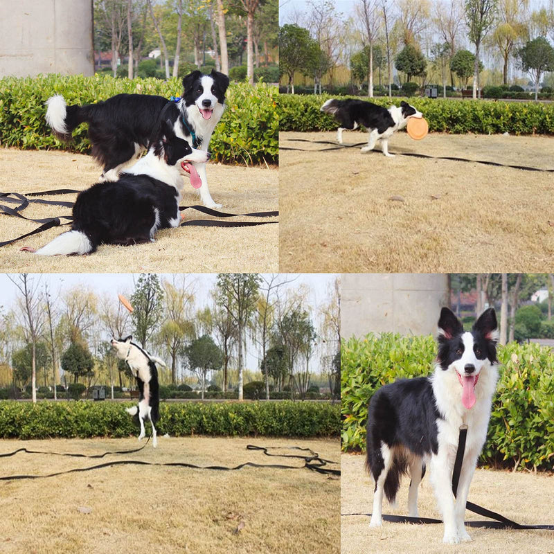 Training Leash for Dog 15ft 30ft 50ft/Black, Long Puppy Lead Leash for Small/Medium/Large Dog Training, Backyard Play, Camping, Recall Training 30ft - BeesActive Australia