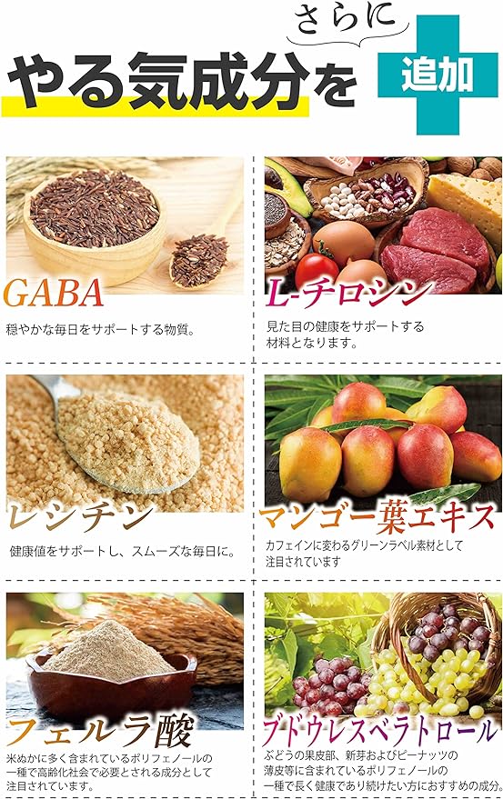 Perfect Clear EX Phosphatidylserine PS Ginkgo Leaf Mucuna Bean Supplement GABA Tyrosine Lecithin (30 days supply) Made in Japan - BeesActive Australia