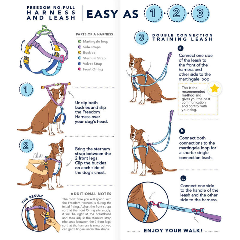 2 Hounds Design Freedom No Pull Dog Harness | Adjustable Gentle Comfortable Control for Easy Dog Walking |for Small Medium and Large Dogs | EarthStyle Designs | Made in USA 5/8" Wide Small (18"-24") Clyde - BeesActive Australia