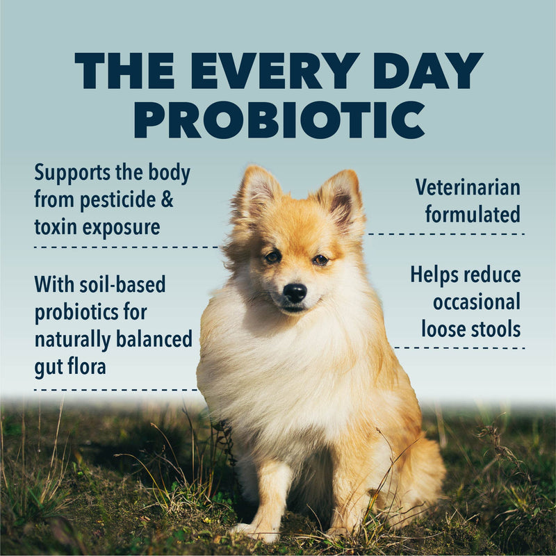 Four Leaf Rover: Protect - Soil-Based Probiotics for Dogs with Food-Based Prebiotics for Gut Health and Immune Support - Up to 90 Servings, Depending on Dog’s Weight - Vet Formulated - for All Breeds - BeesActive Australia