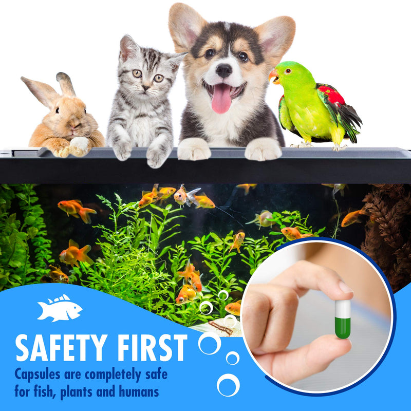 Beseder Bio Starter Aquarium Booster Fish Tank Water Cleaner Digester of Excess nutrients Makes Water Healthy Reduces The Amount of Nitrite and Ammonia Reduces The Need for Aquarium Cleaning - BeesActive Australia