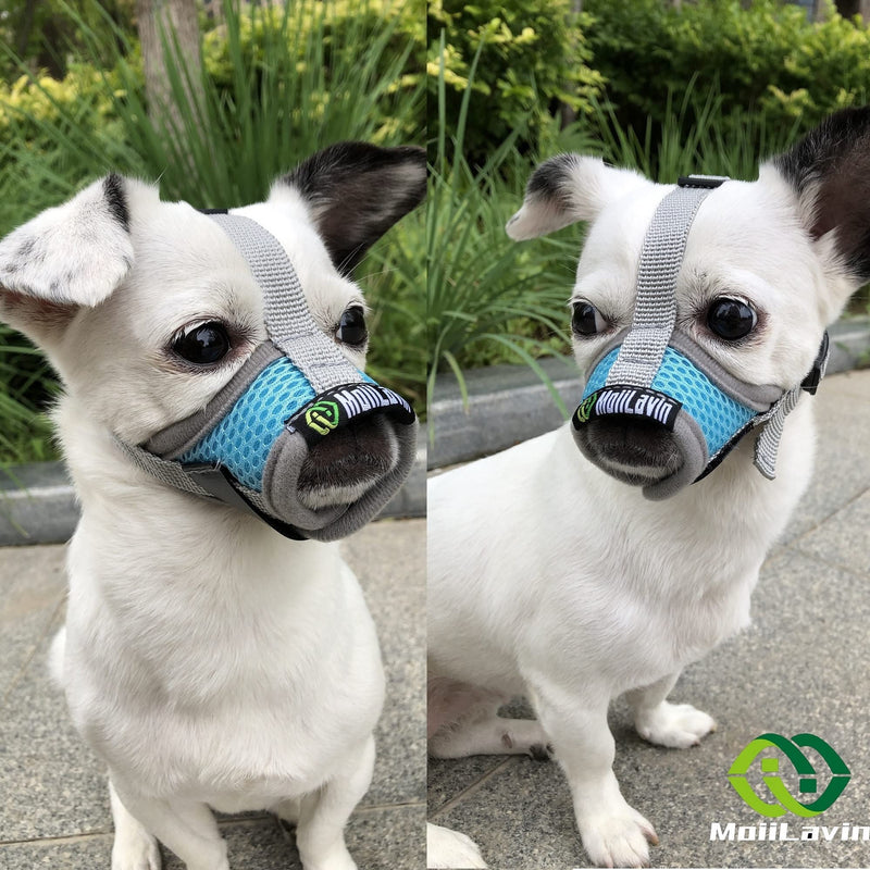 MoiiLavin Extra Small Dog Muzzle XS for Grooming Barking Chewing, Barkless Soft Mesh Muzzles to Prevent Eating Poop Things,Best for Aggressive Dogs (Grey-Blue) - BeesActive Australia
