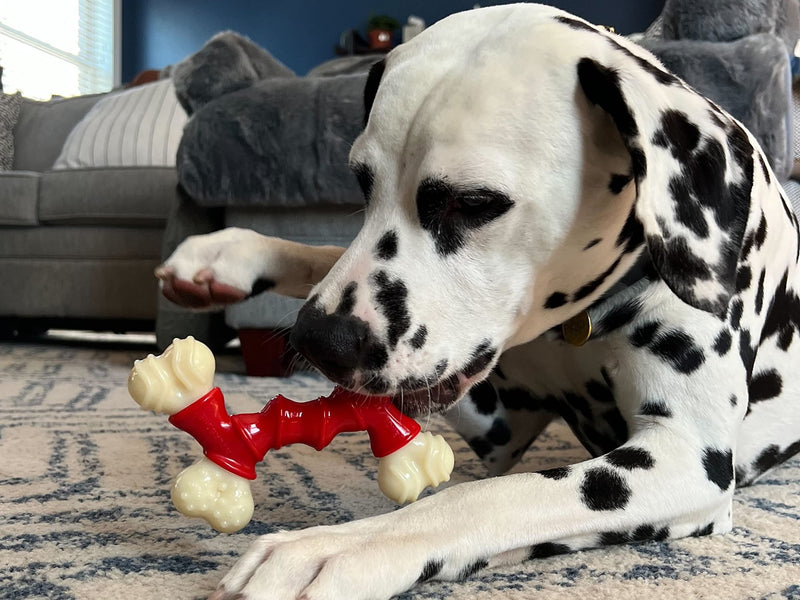 Nylabone Double Bone Power Chew Long-Lasting Dog Toy Medium/Wolf - Up to 35 lbs. red - BeesActive Australia