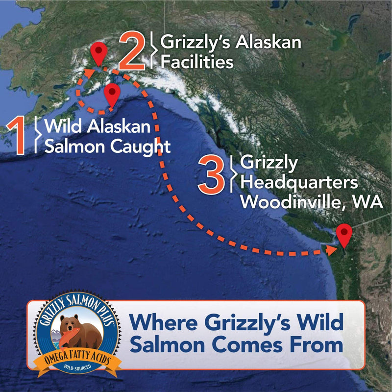 Grizzly All-Natural Wild Caught Alaskan Salmon Oil Dog Food Supplement | Balanced Blend of Omega-3 Fatty Acids | Medical Grade Pump for Exact, No-Spill Dose 16 ounces Grizzly Salmon Oil for Dogs - BeesActive Australia