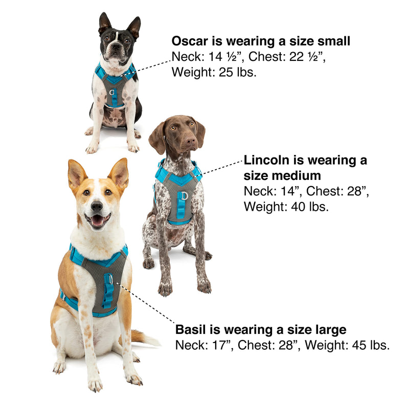 Kurgo Journey Air Dog Harness, Pet Hiking Harness for Running & Walking, Everyday Harnesses for Pets, for Large, Medium, & Small Dogs, Reflective, Black, Blue, Red, Coral, Orange, and Purple - BeesActive Australia