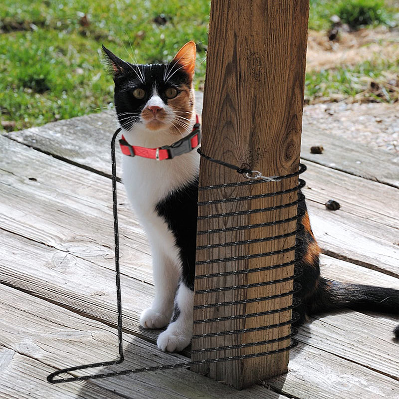 Extra Long Cat Leash for Yard, Lightweight Outdoor Cat Leash Long Light Extension, Long Thin Lead for Rabbits, Kitten, Puppy and Small Animals 4.5M/15FT - BeesActive Australia