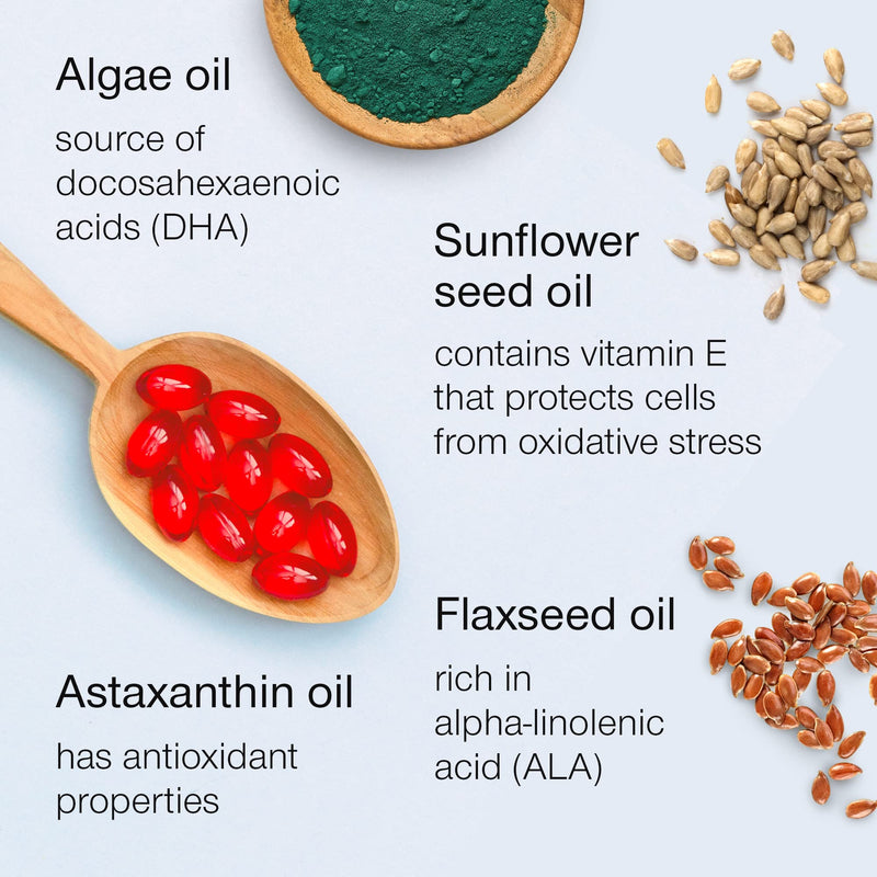 Vegan Omega 3 Capsules - High Strength DHA from Algae Oil 500mg - Algae Omega 3 Vegan with Flaxseed Oil, Astaxanthin, Vitamin E - 60 Easy to Swallow Softgel Tablets - Sustainable Vegetarian Supplement - BeesActive Australia