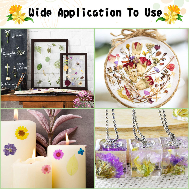 257 Pieces Resin Real Dried Pressed Flowers Leaves and Butterfly Stickers Set Multiple Natural Dry Flowers Daisies Butterfly Adhesive Decals for DIY Resin Jewelry Nail Pendant Art Floral Decors - BeesActive Australia