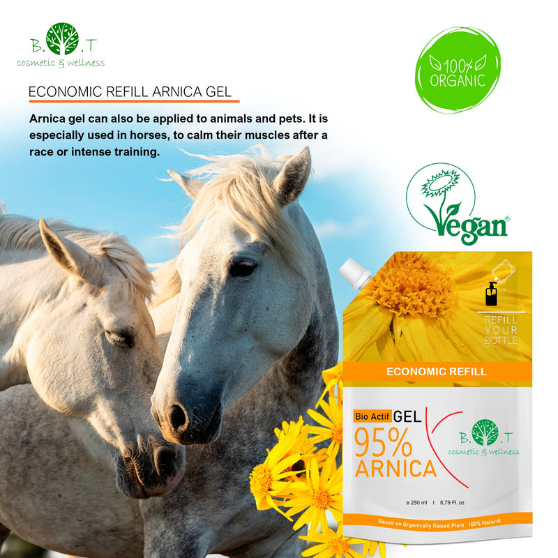 Arnica Montana Gel 90% Concentrate - 100% Natural Plant Extract directly from the Arnica Flower - NOT based on Floral Water - Economy Format 250 ml - BeesActive Australia