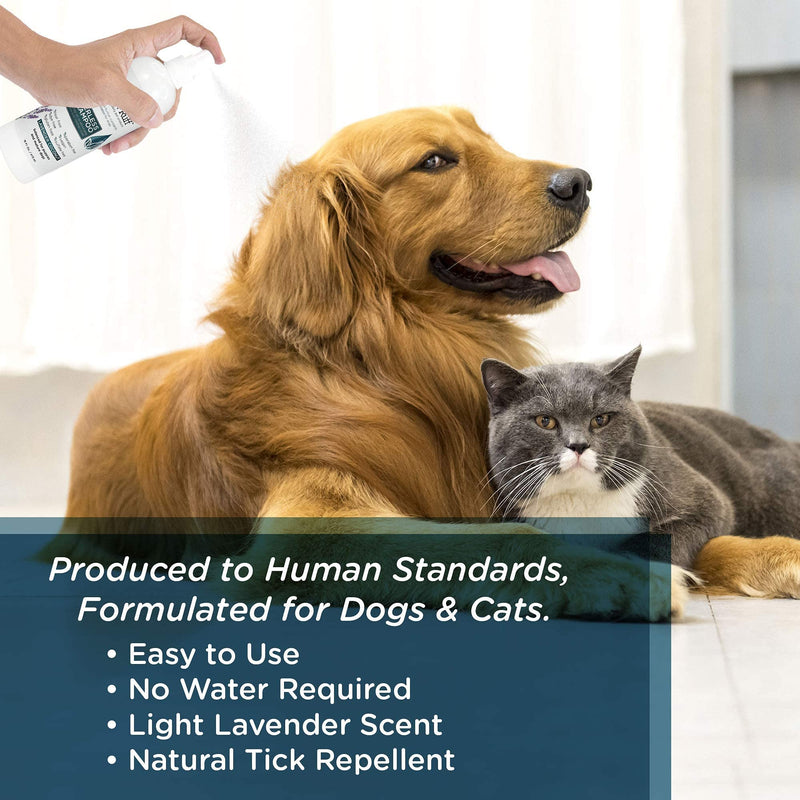 Lillian Ruff Waterless No-Rinse Dog Dry Shampoo Spray with Hydrating Essential Oils - pH-Balanced Dry Shampoo for Dogs - Clean, Condition, Detangle & Deodorize Dry, Sensitive Skin Lavender Coconut With Bath Brush - BeesActive Australia