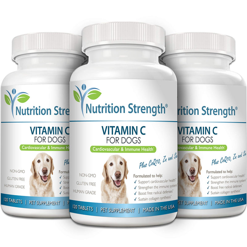 Nutrition Strength Vitamin C for Dogs to Support Cardiovascular Health, Help Strengthen The Immune System, Boost Free Radical Defenses and Sustain Collagen Synthesis, 120 Chewable Tablets - BeesActive Australia