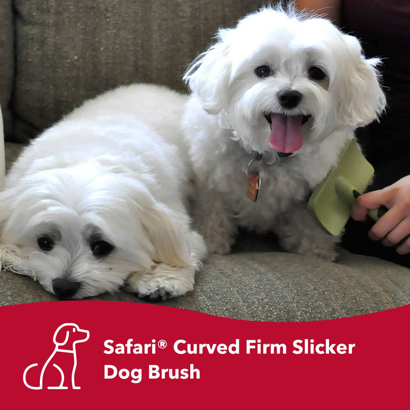 Coastal Pet Safari Curved Firm Slicker Dog Brush - Dog Deshedding Brush - Prevents Mats and Tangled Hair - For Dogs with Short or Long Hair - One Size - 6.5" x 3.06" - BeesActive Australia