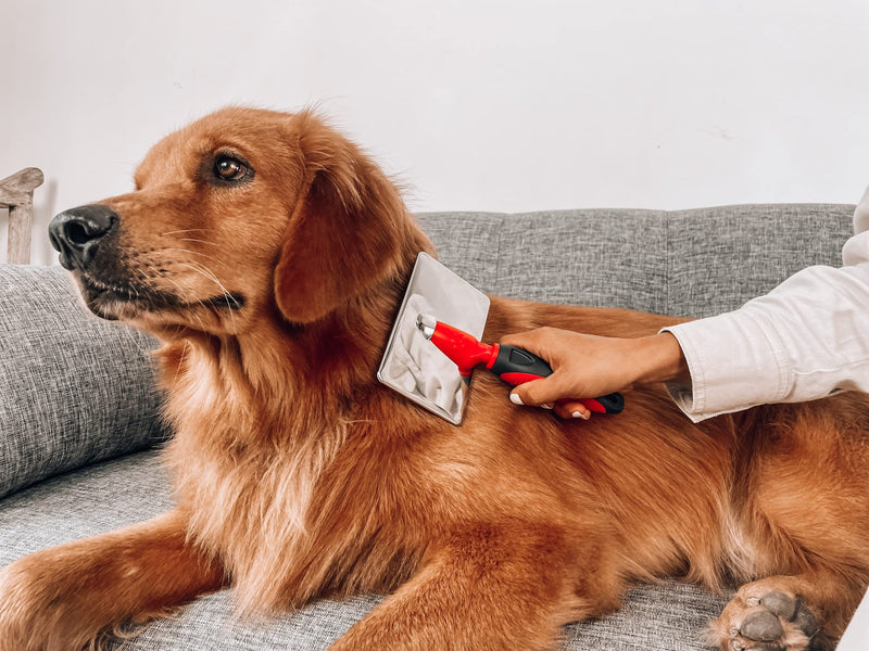 Tuff Pupper Slicker Dog Brush | Large Comb Head for Large & Medium Dogs | Pet Grooming Brush for Shedding Coat Fur | Gently Remove Tangled, Loose Undercoat and Mats Hair | Pet Grooming Brush Tool - BeesActive Australia