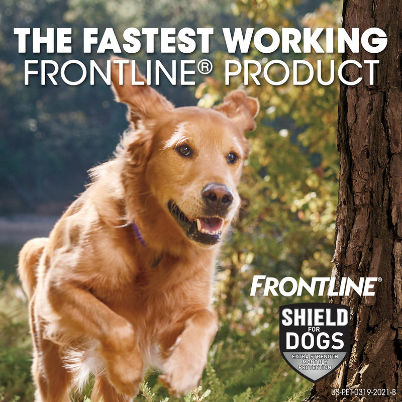 FRONTLINE Shield for Dogs Flea & Tick Treatment, 81-120 lbs 3 Count - BeesActive Australia