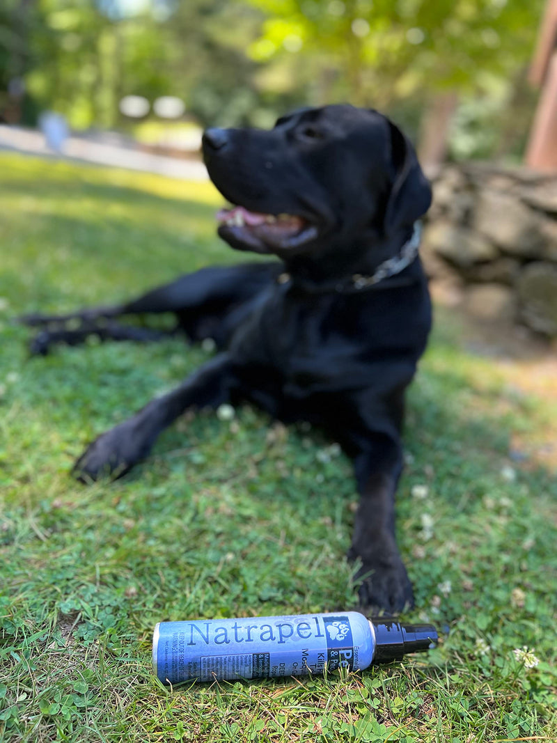 Natrapel Essential Oil Insect Repellent for Pets and People Uncarded 2 Pack - BeesActive Australia