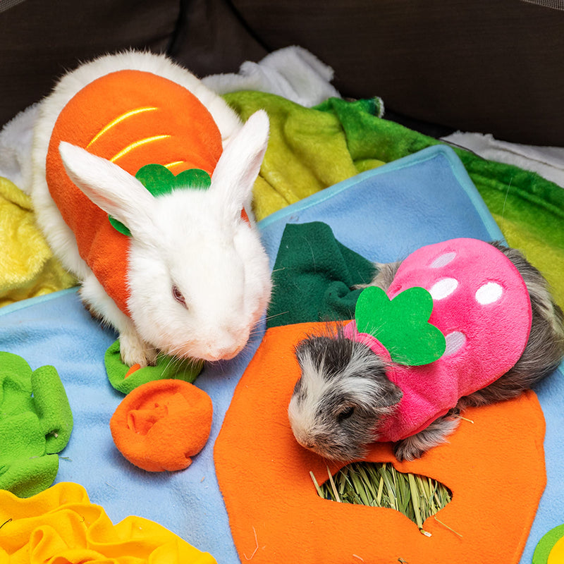 IPRAVOCI Guinea Pig Clothes - Plaid Cute Fleece Warm Pet Outfits for Rabbit Bunny Ferrets Chinchillas Kitten Chihuahua, etc. Small Animals - Bow Tie Christmas Holiday Daily Wear Cozy Vest Pet Costume XX-Small pink and orange - BeesActive Australia