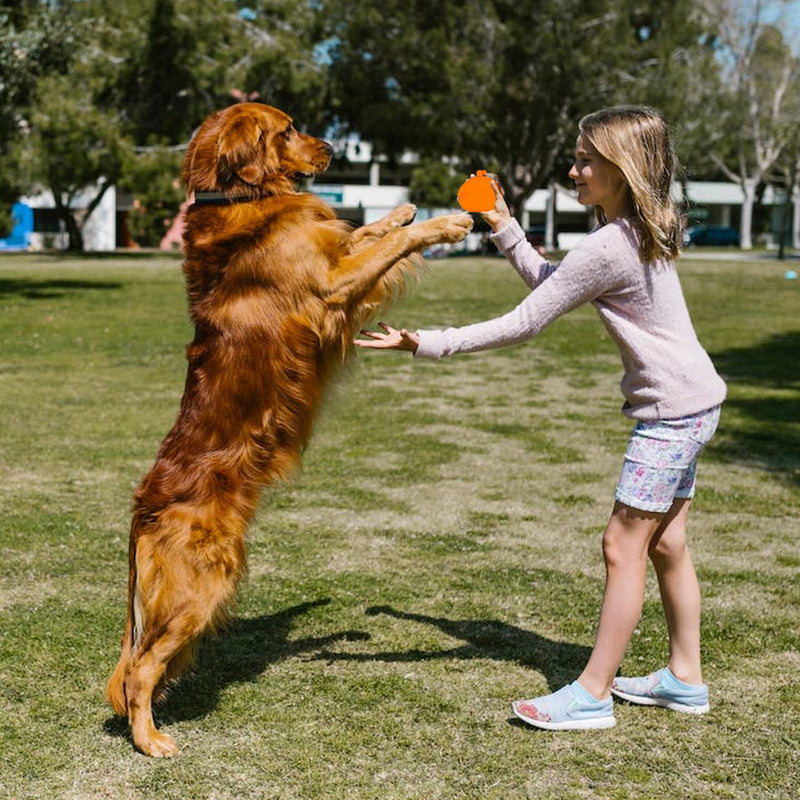 New Oasis Dog Treat Pouch, Big Silicone Dog Treat Pouch Reusable, Dog Training Treat Pouch Coin Purse Key Case Silicone Coin Pouch Dog Pouch Orange - BeesActive Australia
