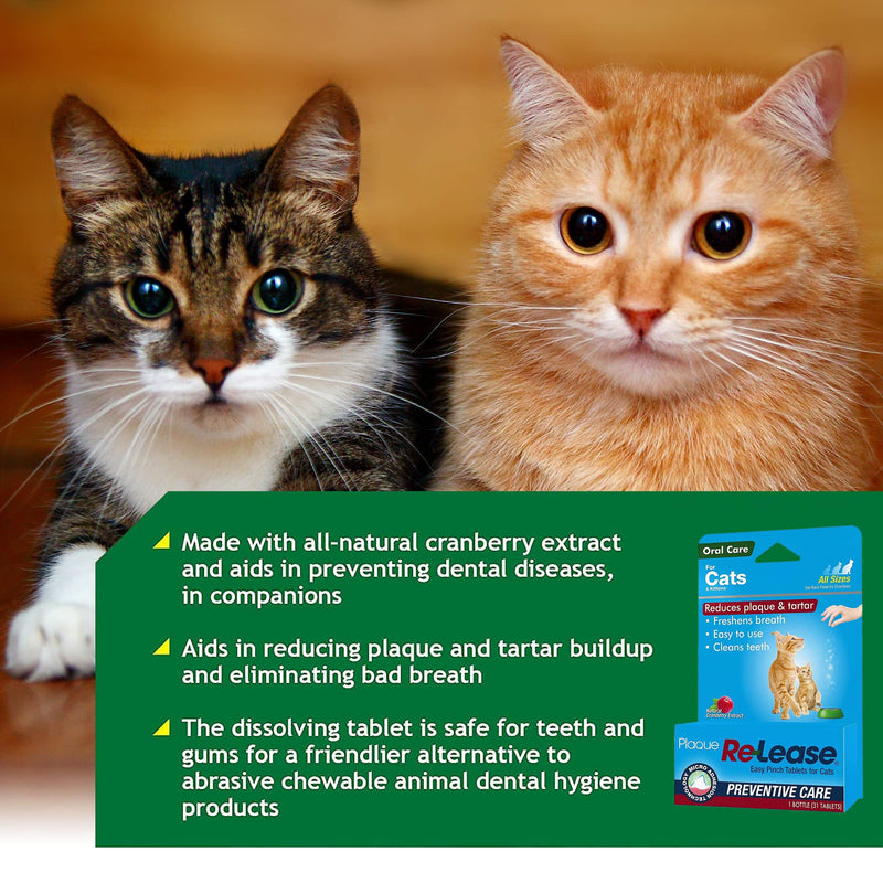 Ramard Plaque Re-Lease for Cats - Cat Breath Freshener - Teeth Cleaner for Fresh Breath - Mouth Freshener Cat Dental Treat Solution - Pet Health Supplies - Infection & Tooth Plaque Remover - BeesActive Australia