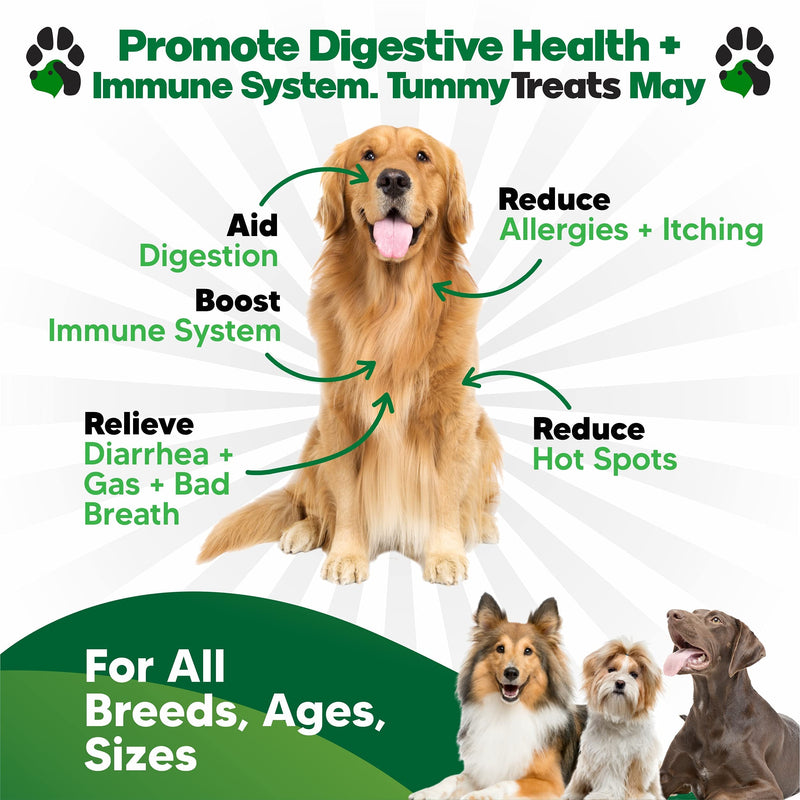 Tummy Treats - Probiotics for Dogs - All Natural Dog Probiotics and Digestive Enzymes - Allergy Relief for Dogs - 120 Dog Breath Treats - Dog Allergy Chews - Fiber for Dogs - Safe Dog Breath Freshener - BeesActive Australia