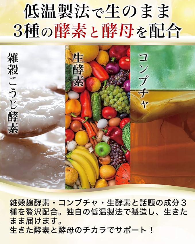 Intestinal Revolution New Habits of Bacteria and Enzymes Supplement Butyric Acid Bacterium Bifidobacterium 31 days supply - BeesActive Australia