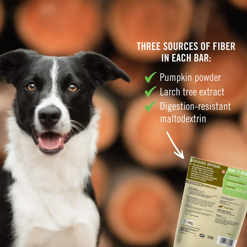 Pet Naturals Scoot Bars, 30 Chews - Natural Anal Gland Support for Dogs - Gentle on Digestive System - BeesActive Australia