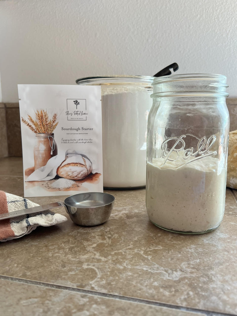 Dehydrated Sourdough Starter She's Rooted Home | Artesian Style Dehydrated Wild Yeast For Baking Sourdough Bread | Perfect for Pizza, Scones, Crackers,Focaccia, & More | Gut Healthy Organic Non-GMO Traditional Bread - BeesActive Australia