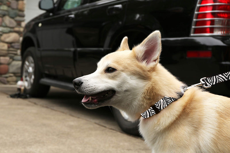 Fun Printed Dog Collar - Patterned Adjustable Dog Collars, Made in the USA - Wide Variety of Designs and Sizes 3/4" COLLAR MED Tie-Dye - BeesActive Australia