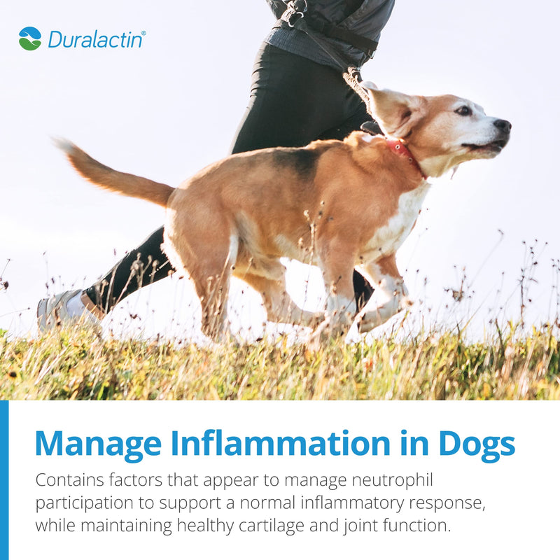 PRN Duralactin Canine Soft Chews - Joint Health Supplement for Dogs and Puppies to Help Reduce Inflammation - Chicken-Liver Flavored Canine Chews Containing Dried Milk Protein - 60-Count Bottle - BeesActive Australia