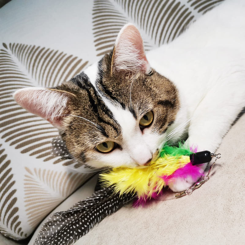 Cat Feather Toy Replacement Cat Toy Wand Teaser Refills, Natural Bird Feather Worm Refills for Indoor Cats AA-8PCS Feathers Refills - BeesActive Australia