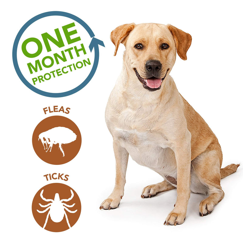 Vet's Best Topical Flea & Tick Treatment for Dogs Over 40lbs, 4 Month Supply - BeesActive Australia
