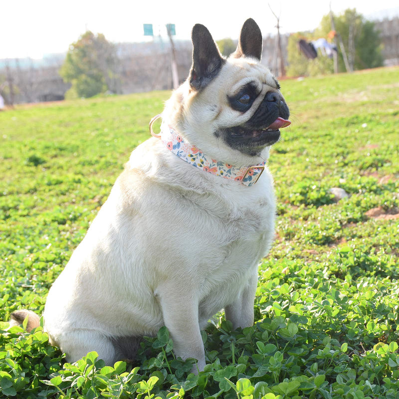 Metal Buckle Dog Collar, Durable Adjustable Dog Collar Soft for Small Medium Large Dogs Flower3 S(10-14in) - BeesActive Australia