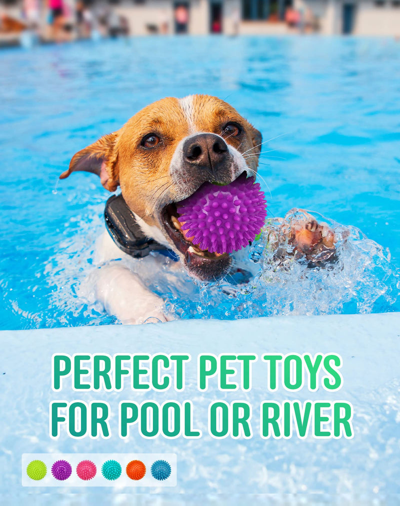 2.5" Squeaky Dog Balls for Small Medium Dogs , 6 Pack Small Dog Chew Toys with Spike, Puppy Toys for Teeth Cleaning and Training - BeesActive Australia