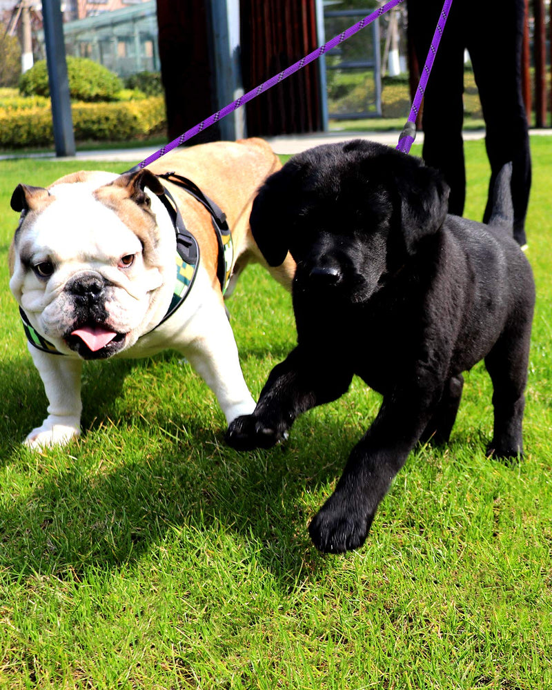 Taglory Double Dog Leash, Reflective Dual Dog Leash, 360 Swivel No Tangle Walking Double Leash for Puppy Small Dogs 30 Inch (Pack of 1) Purple - BeesActive Australia