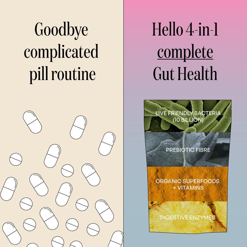 JERMS Daily Gut Probiotic Powder 10 Billion CFU Prebiotic Fibre with Digestive Enzymes + Organic Superfoods 30 Servings - 100% Natural Vegan Gluten Free Gut Health Support Ease Bloating - BeesActive Australia