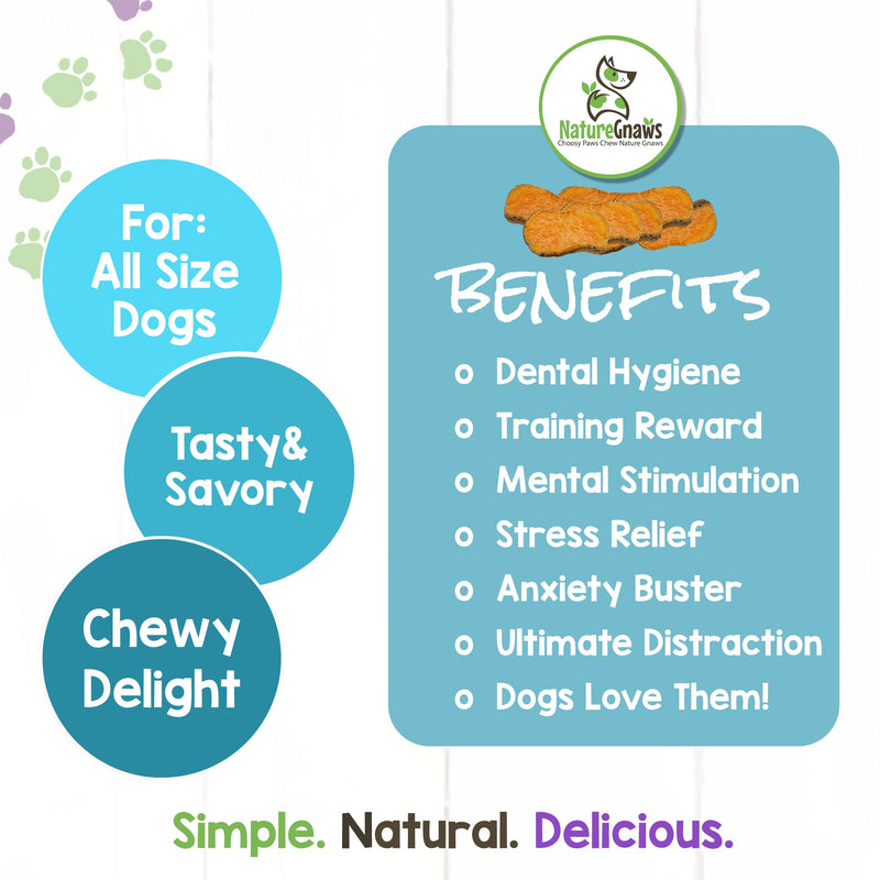 Nature Gnaws Sweet Potato Chips for Dogs - Single Ingredient Natural Dog Chew Treats - 12 oz - BeesActive Australia