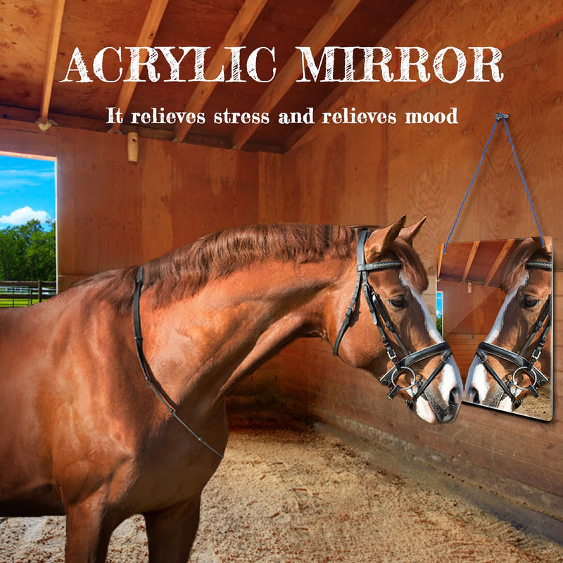 Horse Mirror Horse Stall Mirror - Safe Acrylic Mirrors Sheet Sukh Horse Toy Balls Non Glass Shatterproof Horse Toys for Stable Barn Stall Toy Entertainment(16.92 x 12.99 Inch) - BeesActive Australia