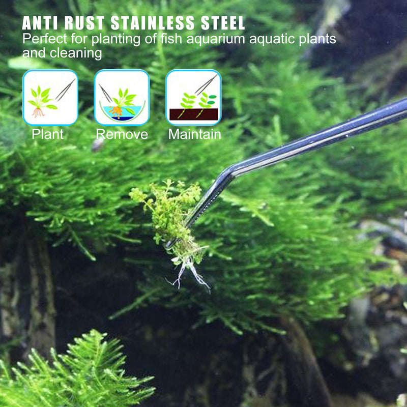 Longjet Feeding Tongs, 2 Pcs 10.6 Inch Stainless Steel Long Tweezers Forceps, for Reptile Lizards, Gecko, Bearded Dragon, Snake, Turtle Feeder and Aquarium Aquatic Plant Bonsai Starter Tools - BeesActive Australia