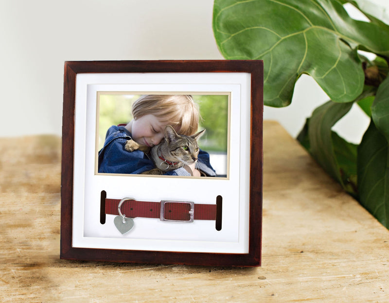 Pearhead Pet Collar Keepsake Picture Frame Espresso Collar Frame - BeesActive Australia