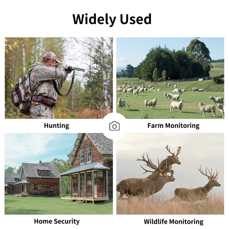 20MP Mini Trail Camera,1080P Hunting Trail Camera with No Glow 940nm Night Vision Motion Activated IP66 Waterproof,80ft Illumination Range Outdoor Expert Hunting Game Cam for Wildlife Monitoring - BeesActive Australia