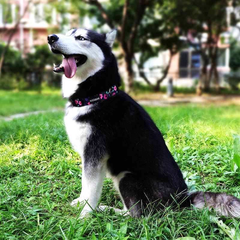 KISSBAK Dog Collar for Small-Medium-Large Dogs - Special Design Cute Girl Dog Pet Collar Soft Adjustable Fancy Floral Girl Puppy Dog Collars Medium - BeesActive Australia