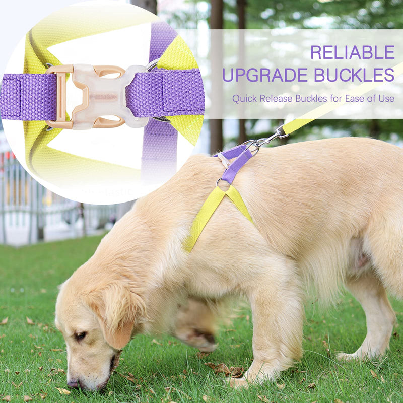 No Pull Dog Harness and Leash Set, Step in Dog Halter Harness with Poop Bag Holder, Adjustable Lightweight Cotton Straps Suitable for Small Medium Large Dogs Outdoor Walking Running Hiking Purple-Yellow S - BeesActive Australia