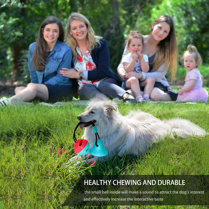 Dog Toys, Dog Chew Toys for Aggressive chewers,Dog Rope Toys with Suction Cup for Puppy Dogs,Dog Training Treats Teething Toys for Boredom, Small Dog Puzzle Toy Treat Food Dispensing Ball Toys Blue - BeesActive Australia