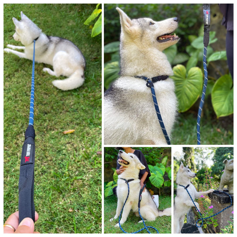 Tuff Pupper Heavy Duty Rope Slip Knot Dog Leash | Slip On Cinch Training Leash | Reflective Leash for Safe Night Walks | 6 Foot Dog Leash w/Leather Slip Preventer | Cinch Collar for Medium Large Dogs 6 Foot Long Midnight Blue - BeesActive Australia