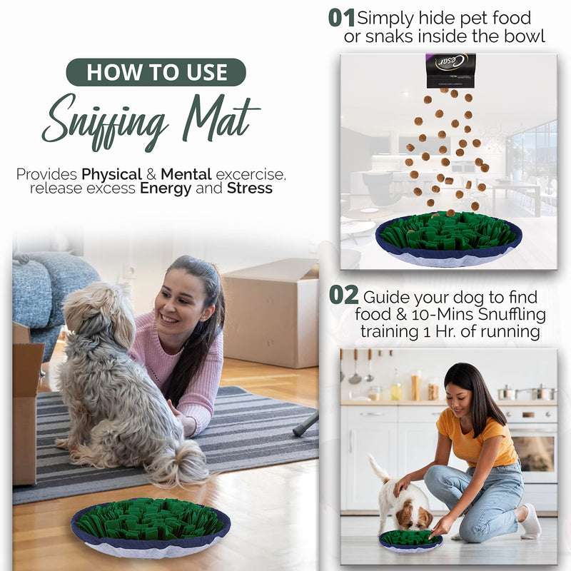 PET ARENA Adjustable Snuffle mat for Dogs, Dog Puzzle Toys, Enrichment Pet Foraging mat for Smell Training and Slow Eating, Stress Relief Interactive Dog Toy for Feeding, Dog Mental Stimulation Toys - BeesActive Australia