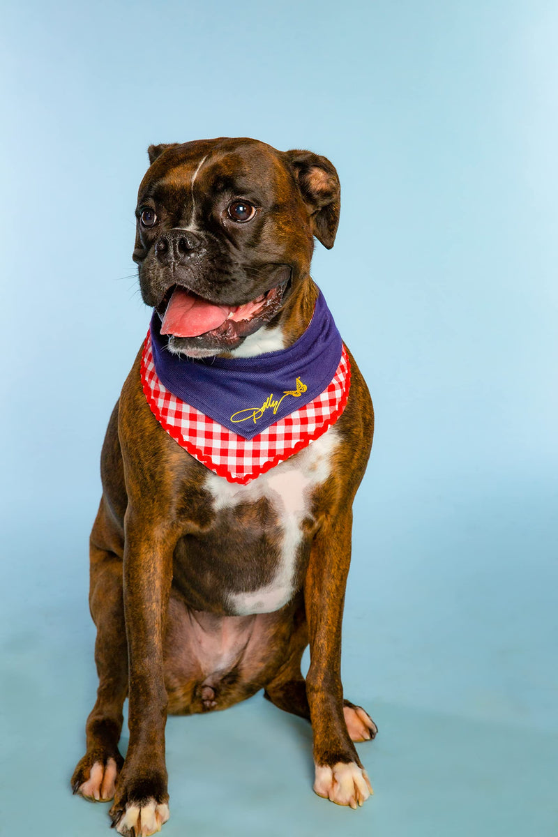 Doggy Parton Blue Printed Denim & Gingham Print Bandana for Pets X-Small / Small - BeesActive Australia