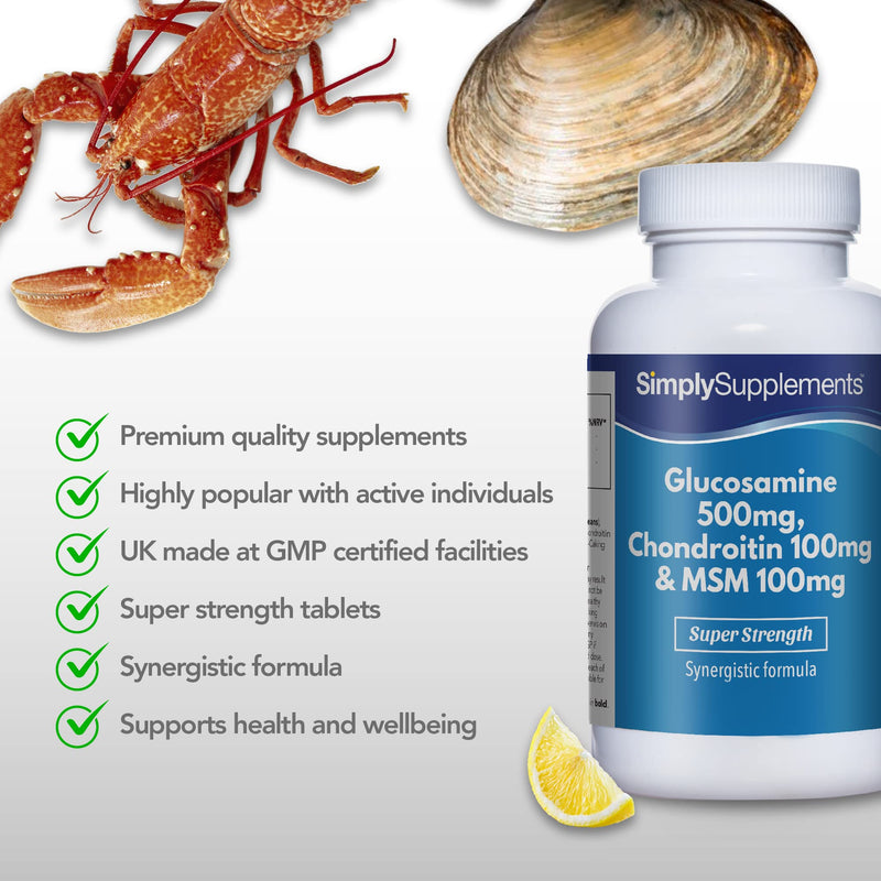 Glucosamine, Chondroitin & MSM | Comprehensive Formula to Support an Active Lifestyle | 120 Tablets | Manufactured in The UK - BeesActive Australia