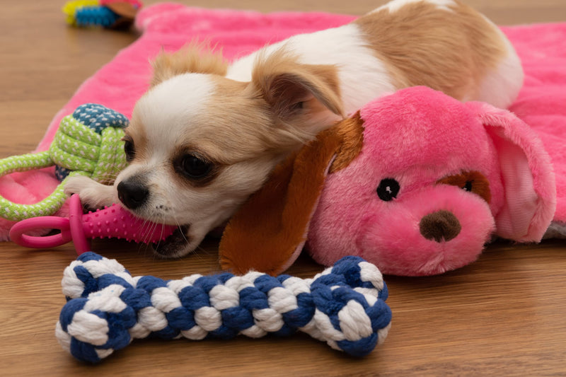 EZDOM Puppy Play Mat with Detachable and Interchangeable Toys, 23”x20” (58x51cm) Pink New - BeesActive Australia