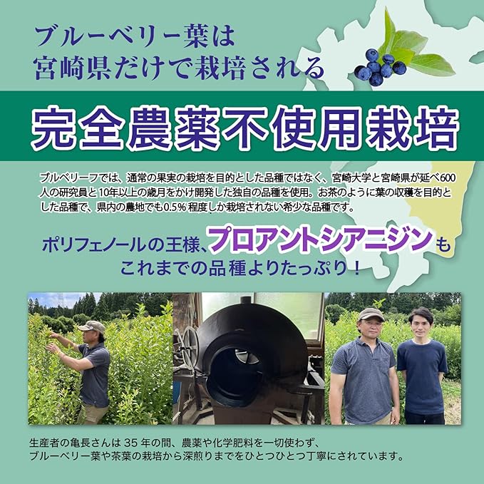 Blueberry Polyphenol Lutein Supplement (Collaborative Research with Universities and Prefectures), Made in Kyushu, Zeaxanthine Proanthyanidin, Chlorogenic Acid, Pesticide Free, 30 Day Supply - BeesActive Australia